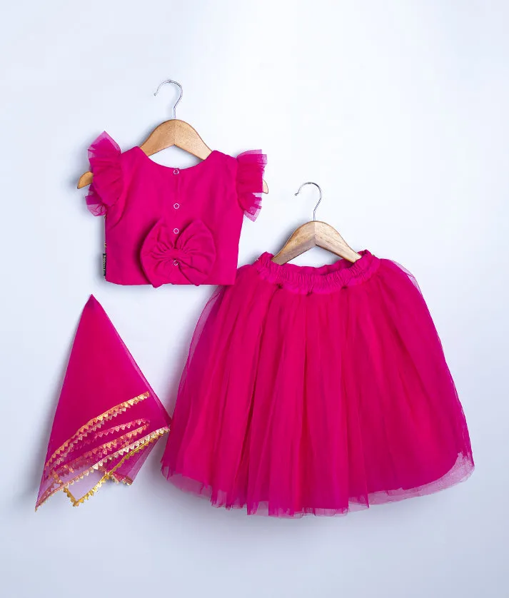 Magenta Tulle net Handworked Crop Top with Full Length Skirt For Baby Girl [Ready to Ship: 2396]