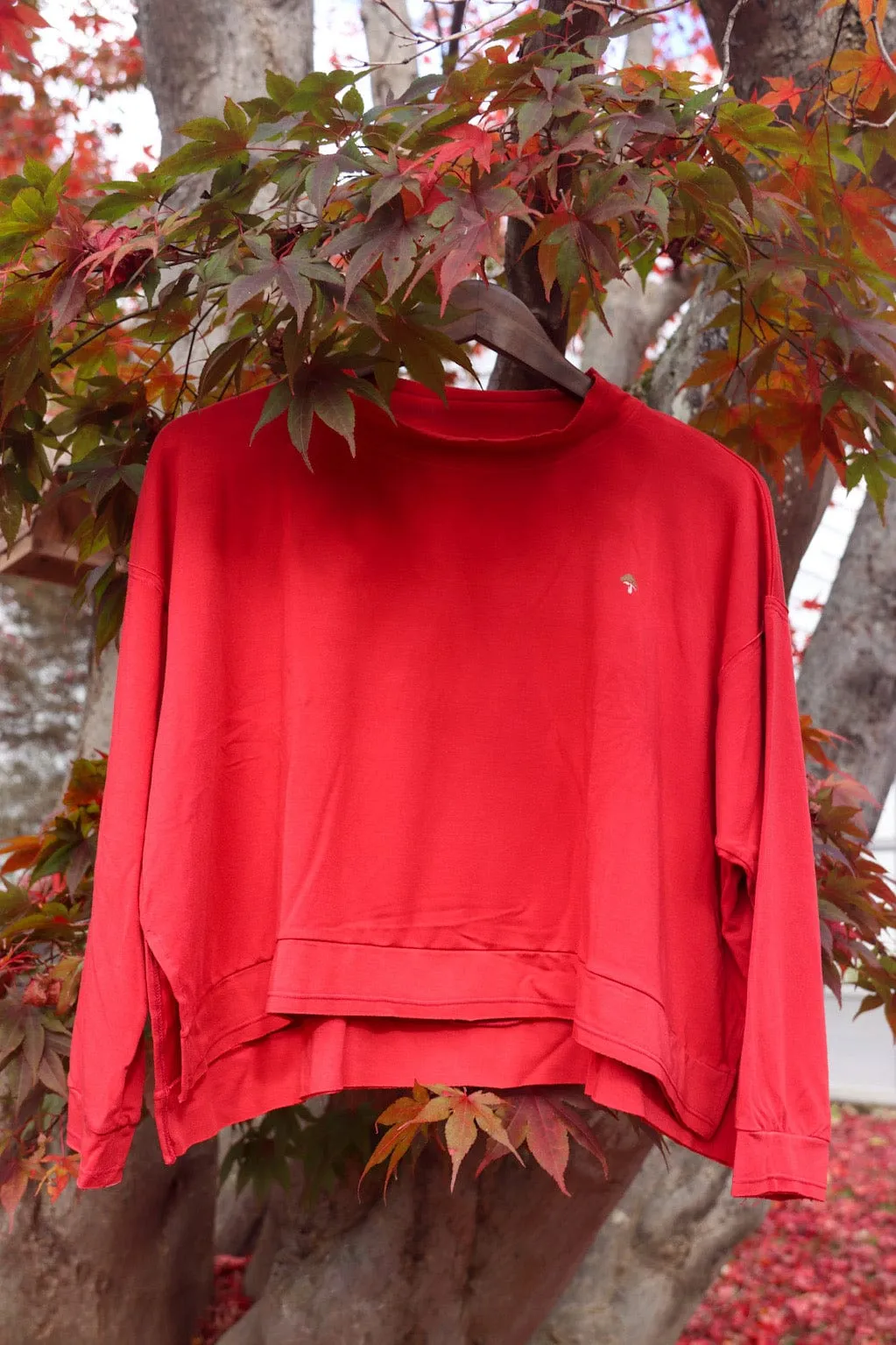 Ruby Mushy Pullover